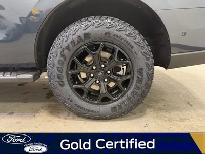 2023 Ford Expedition Timberline