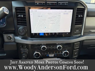 2024 Ford Super Duty F-250 SRW Platinum