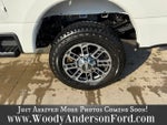 2024 Ford Super Duty F-250 SRW Platinum