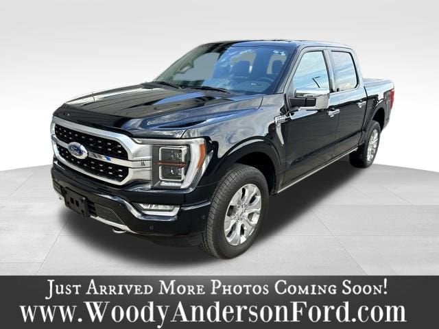 2023 Ford F-150 Platinum 4x4 SuperCrew 5-1/2 Box's photo