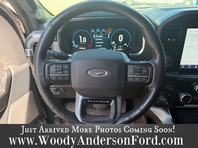2023 Ford F-150 Platinum