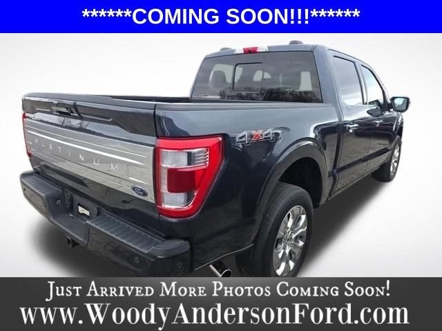 2022 Ford F-150 Platinum