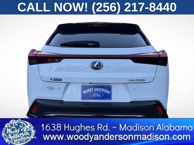 2021 Lexus UX UX 250h F SPORT